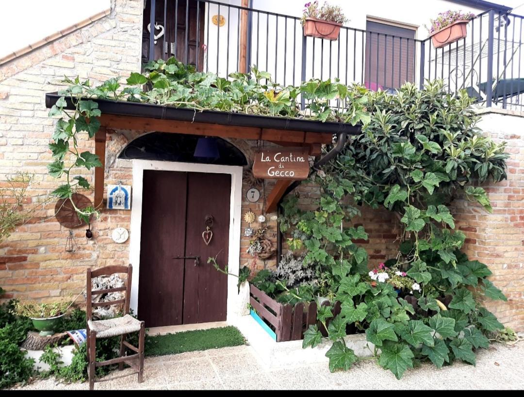 B&B La Casa In Campagna Collecorvino エクステリア 写真