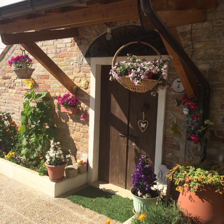 B&B La Casa In Campagna Collecorvino エクステリア 写真