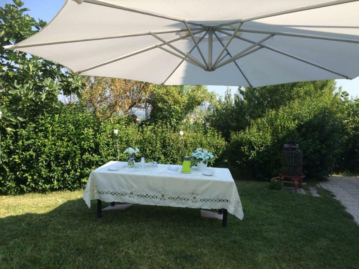 B&B La Casa In Campagna Collecorvino エクステリア 写真